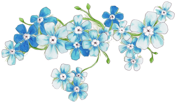 Blueflower By Olsikowa - Blue Flowers Transparent (600x436)