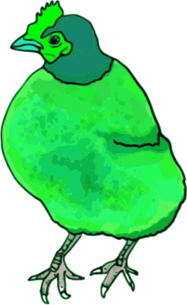 Vector Clip Art - Custom Red Hen Shower Curtain (600x974)