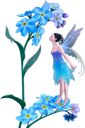 Fa-31 - Fairy Flower Transparent Background (332x500)