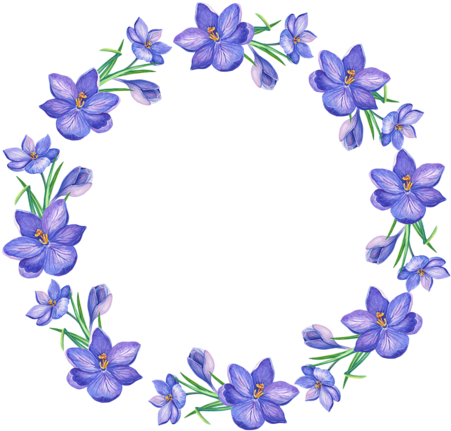 Explore These Ideas And More - Gentiana (500x500)