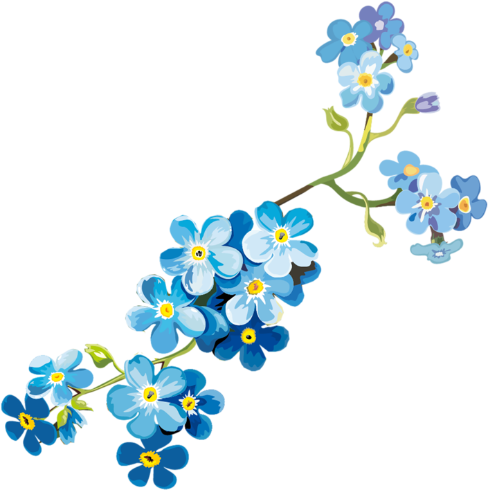 York Wallcoverings Tk6370b Floral Border White / Pink - Floral Laptop Sleeve - 13" (746x800)