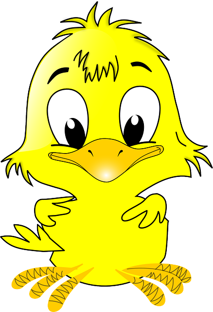Yellow Chick, Easter, Animal, Baby, Bird, Cute, Fluffy, - Easter (438x640)