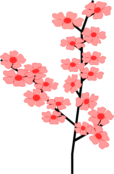 Sakura Blossom Clipart Transparent - Cherry Blossom Clip Art (381x578)