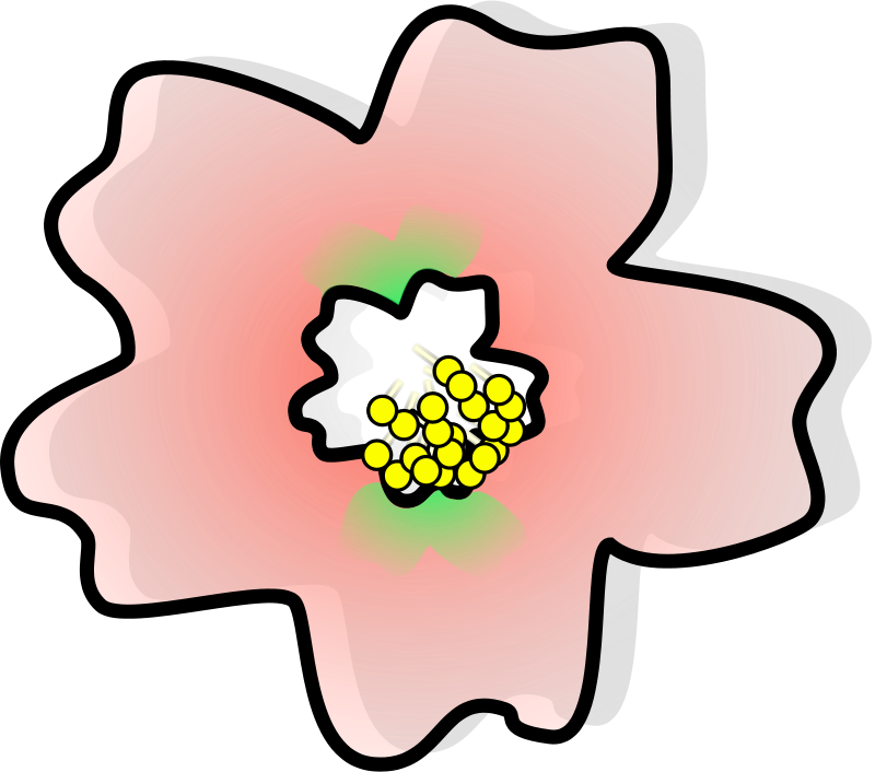 Sakura Dave Pena 01 Png Images - Jepang Clipart Png (851x750)
