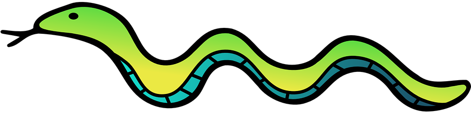 Outline Of A Snake (960x480)