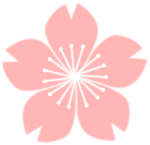 Cherry Blossom Sakura Flower Drawing Art (512x495)