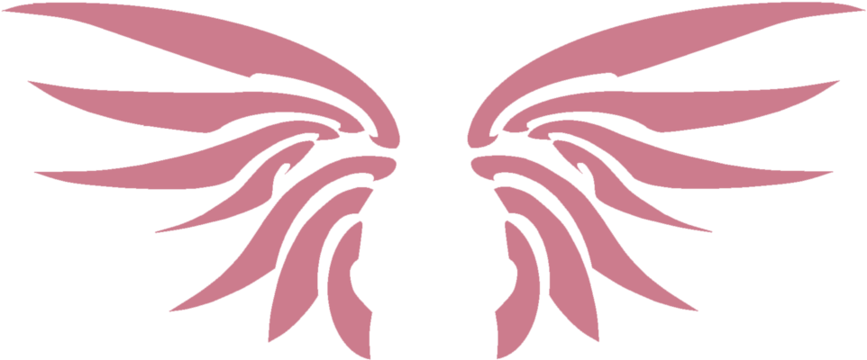 Image Result For Tsubasa Sakura Wings - Illustration (1024x427)