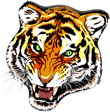 Tiger - Tiger Tattoo Transparent Png (450x462)