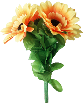 This Is Another Version Of Wilting Rose Or Dropping - Amazing Split Sunflower By Premium Magic (400x400)