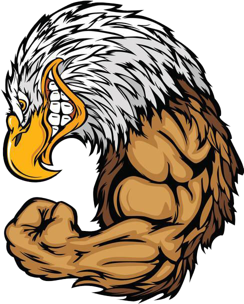 Bald Eagle Clip Art - Strong Eagle Cartoon (596x607)