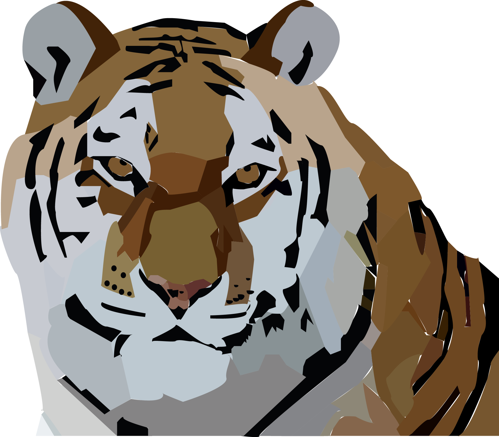 Siberian Tiger By Cnewsome002 Siberian Tiger By Cnewsome002 - Amur Siberian Tiger (2036x1782)