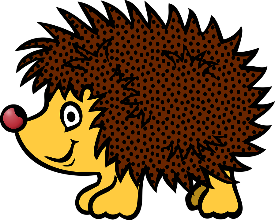 Hedgehog Animal Cartoon Hedgehog Hedgehog - Porco Espinho Em Desenho (898x720)