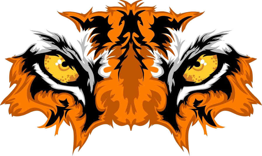 Tiger Eyes - Free Tiger Eyes Clipart (897x534)