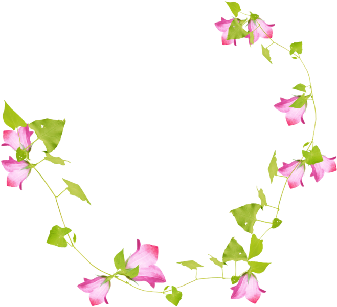 Floral Design Liana Branch Clip Art - Floral Design Liana Branch Clip Art (699x649)