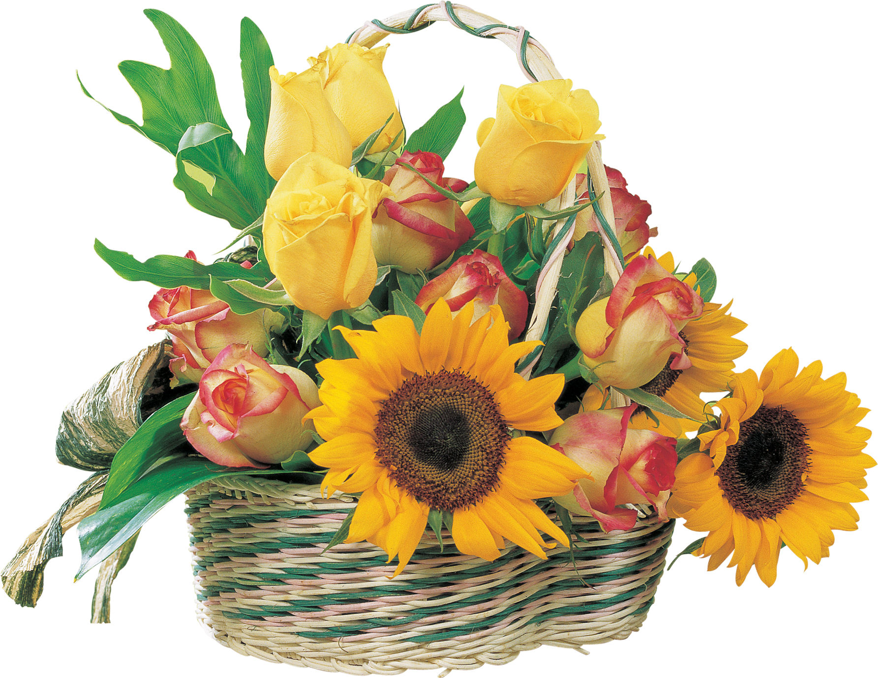 Common Sunflower Birthday Greeting Clip Art - Common Sunflower Birthday Greeting Clip Art (1785x1379)