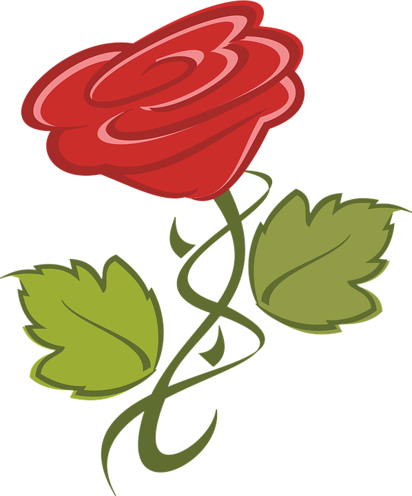 Red Flower Clip - Blume Clipart (598x720)