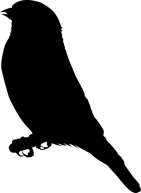 Sitting Bird Silhouette Free Vector Graphic - Eagle Clipart Black (467x640)