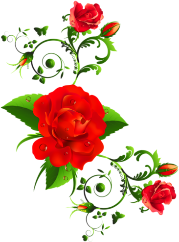 Happy Flowers, Red Flowers, Red Roses, Beautiful Flowers, - Nice Women's Day (480x628)