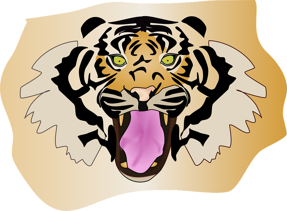 Animal Tigre Png Images 600 X - Tiger (960x706)