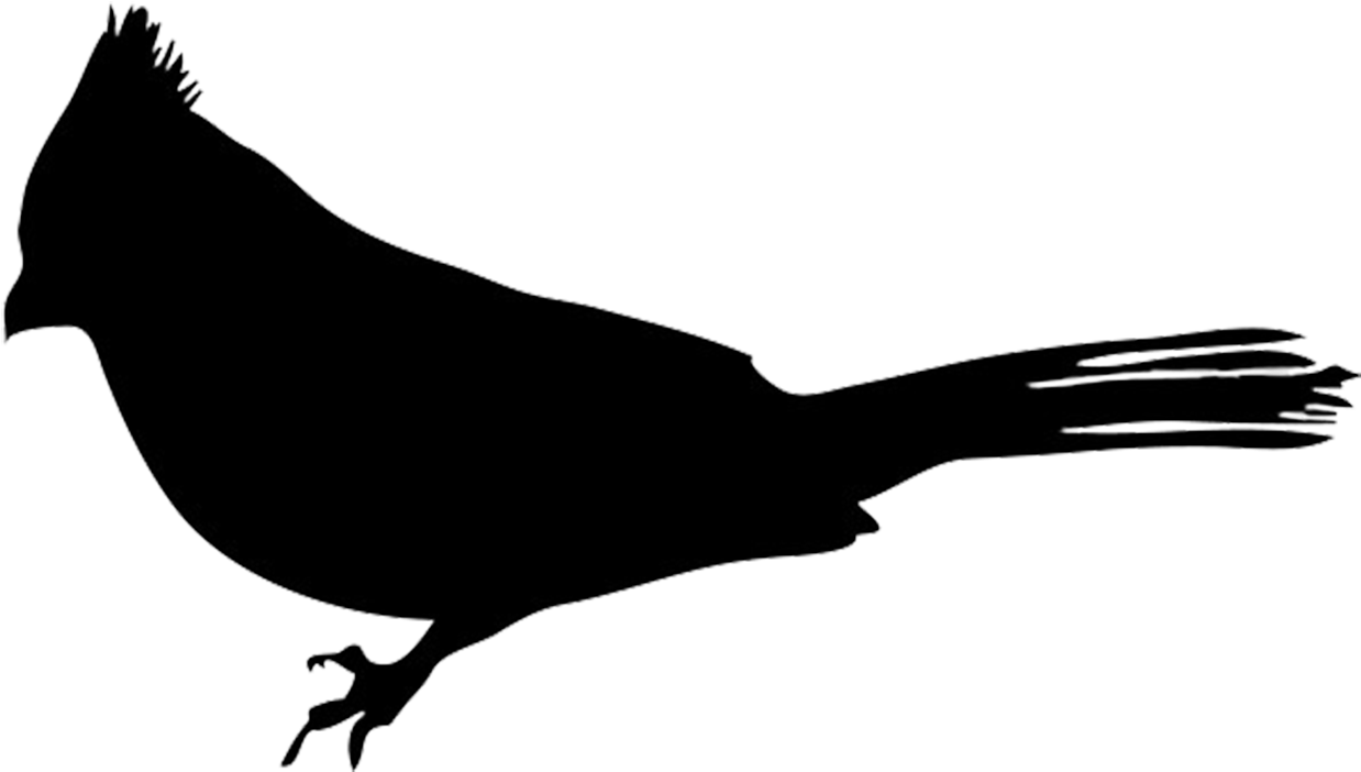 Robin Clipart Silhouette - Silhouette Of A Robin (1350x944)