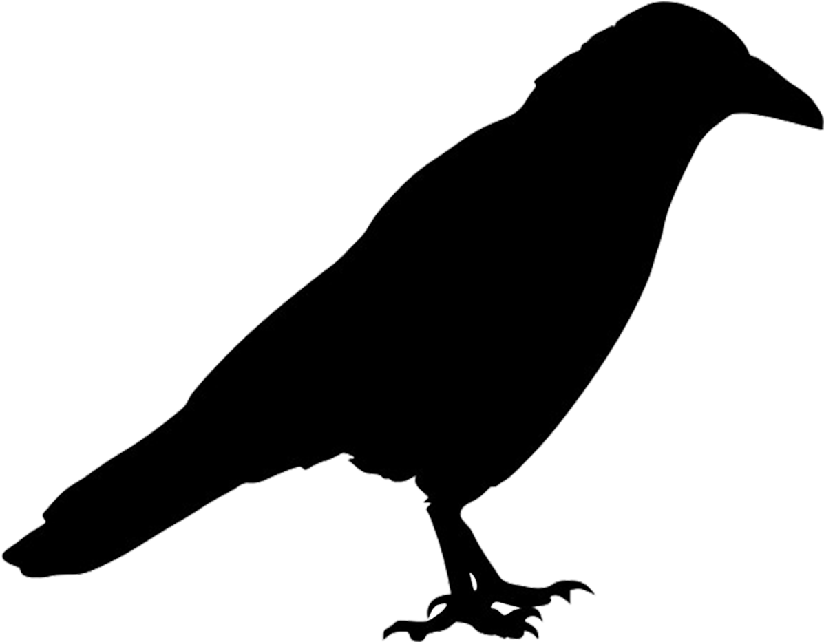 Picture Of Printable Bird Silhouette Printable Large - Jackdaw Silhouette (1281x1069)