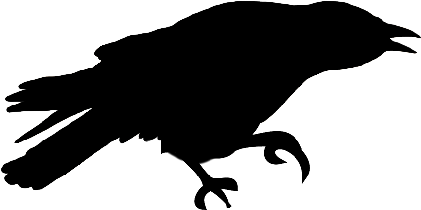 Crow Silhouette Png Download - Silhouette (870x499)