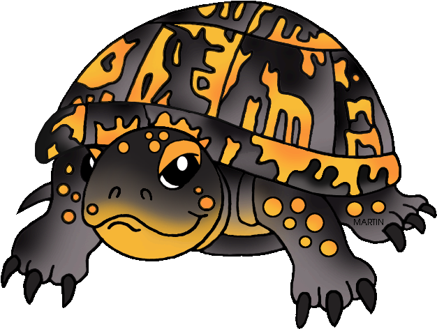 Tennessee State Reptile - North Carolina Eastern Box Turtle (648x504)