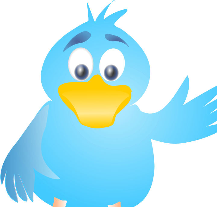 Blue Jay Clip Art Download - Vogel Clipart (800x800)