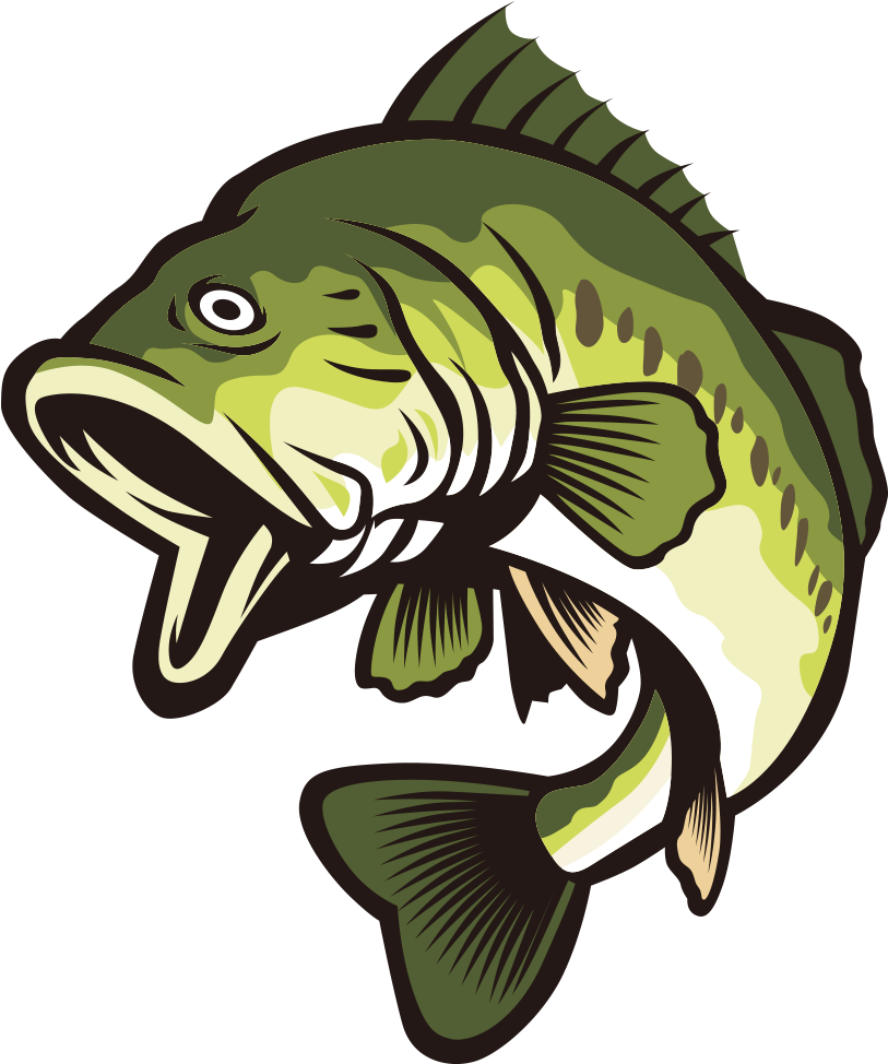 Largemouth Bass Clip Art - Largemouth Bass Bass Clipart (1000x1000)