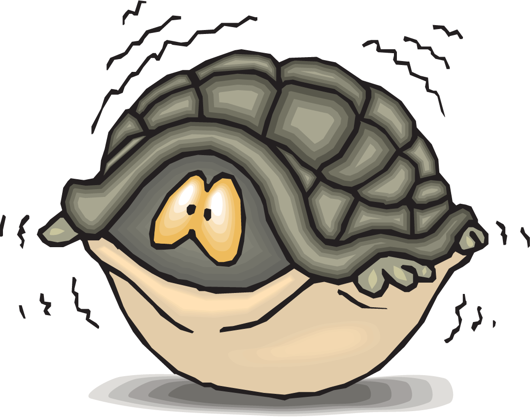 Turtle Shell Teenage Mutant Ninja Turtles Clip Art - Calm Yourself Down When Angry (1075x851)