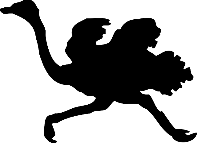Bird, Running, Ostrich, Wind, Animal, Fast - Ostrich Silhouette Clip Art (640x466)