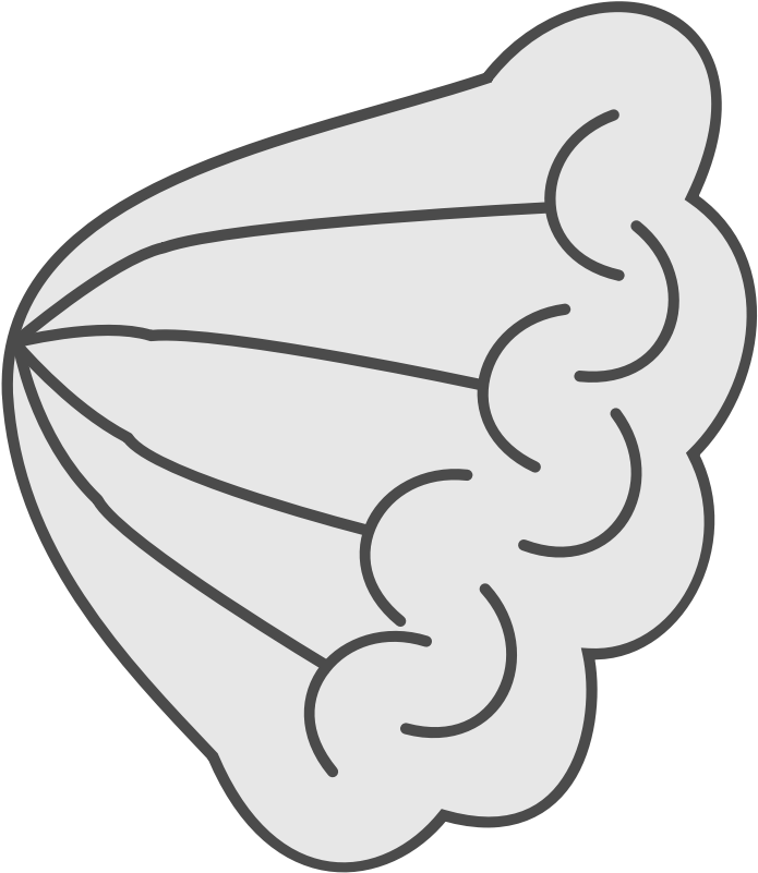 Blow Of Air - Air Clip Art Png (800x800)