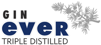 Gin Ever Premium Gin - Gin (400x400)