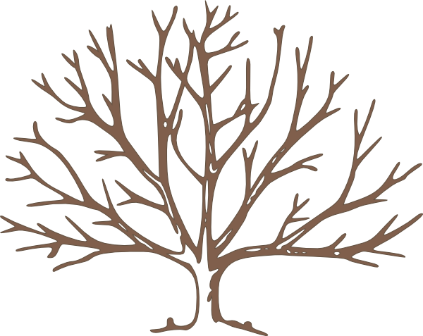 Brown Bare Tree Clip Art - Draw A Winter Tree (600x477)