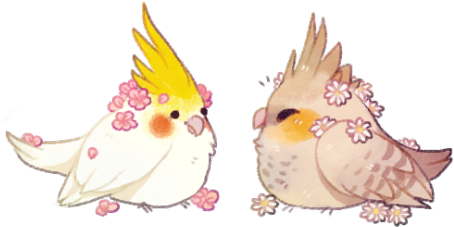 Imagens - Drawing (500x265)