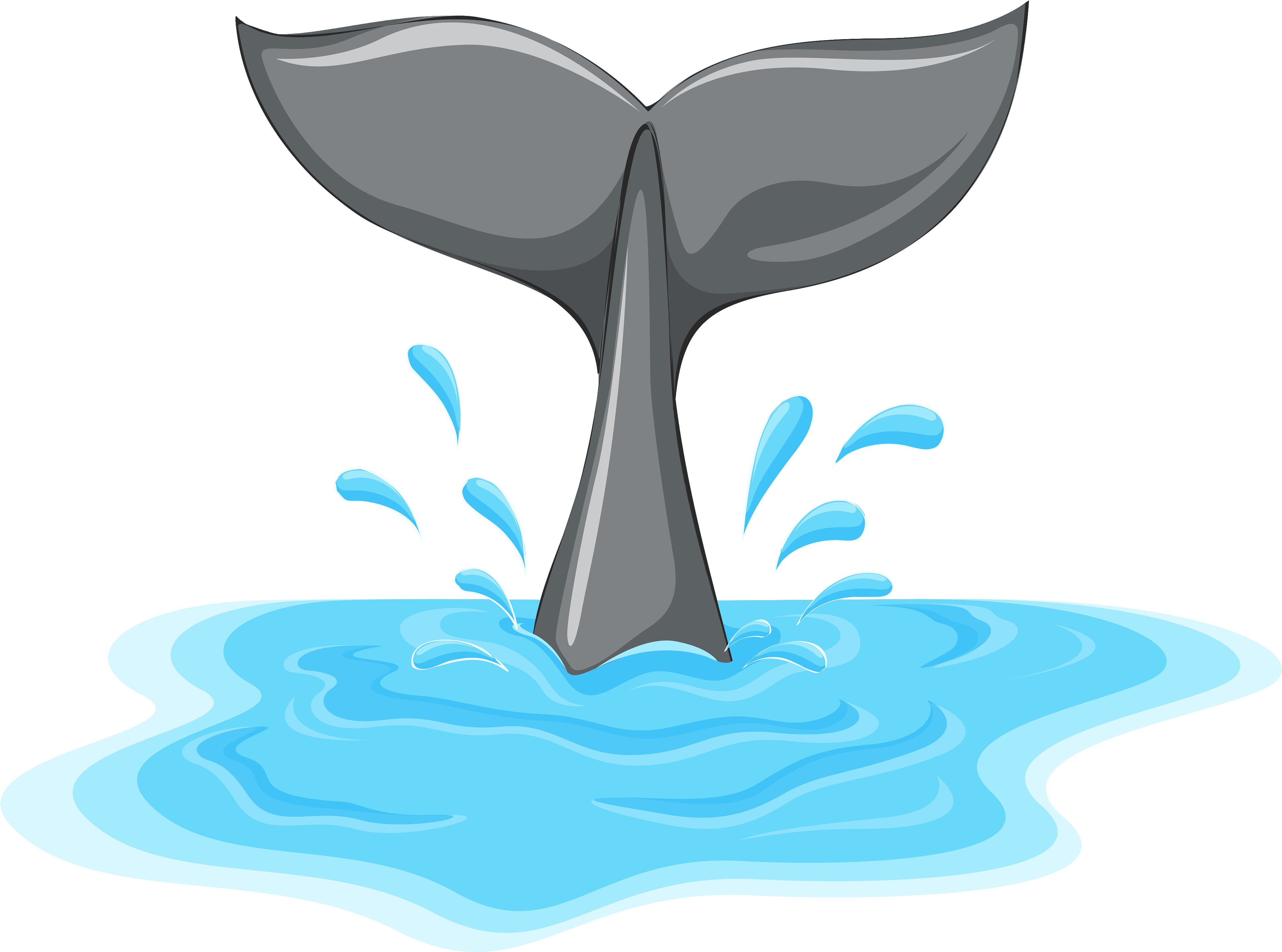 Whale Fin Clipart - Cola De Ballena Dibujo (4000x3006)