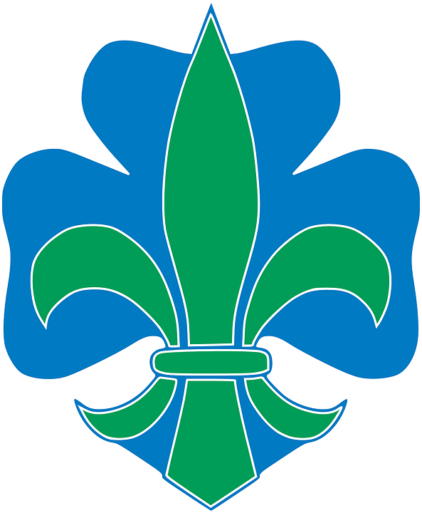 Lotus Flower Vector Png - Lotus Flower Vector Png (593x720)