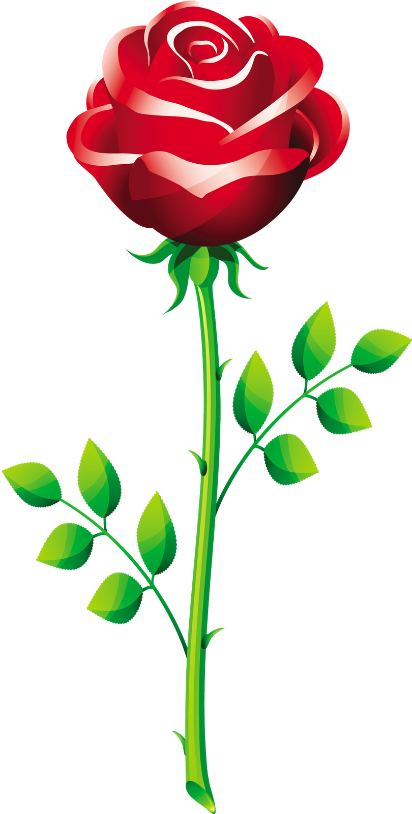 Flowers For Rose Flower Vector Png - Propose Picture With Rose (829x1600)