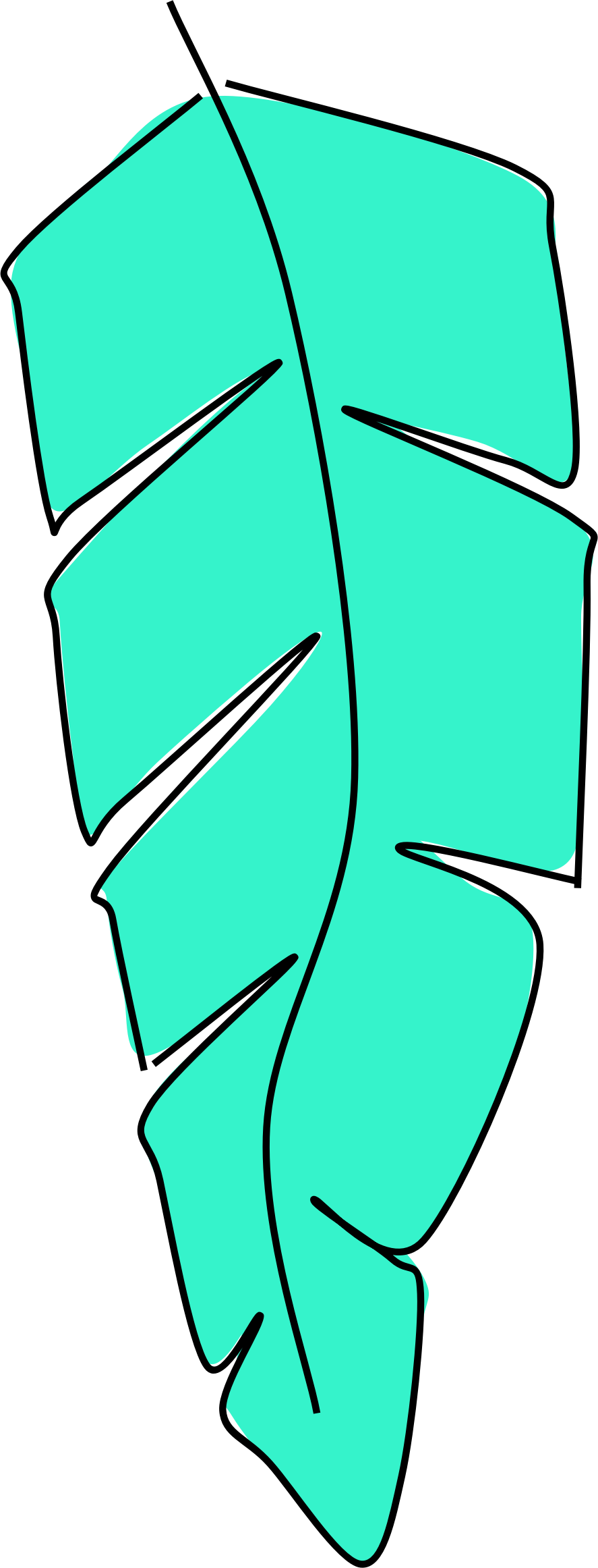 Clipart Feather - Feather (887x2323)