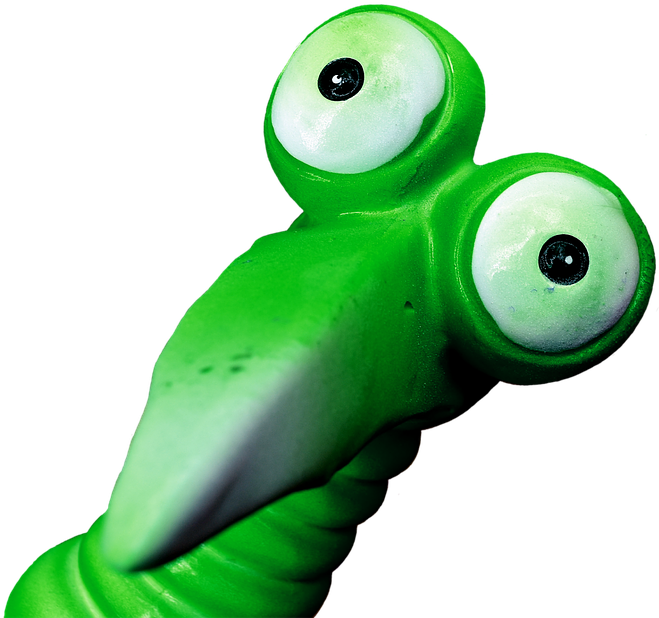 Joker, Green, Funny, Weird Bird, Cute, Feather - Camaracon Un Jirasol Caricatura (937x720)