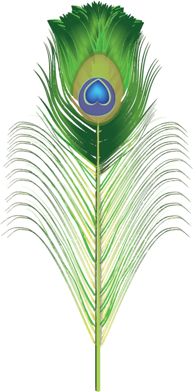 Photoshop Clipart Blue Feather - Peocock Feather Png Transparant (415x1008)