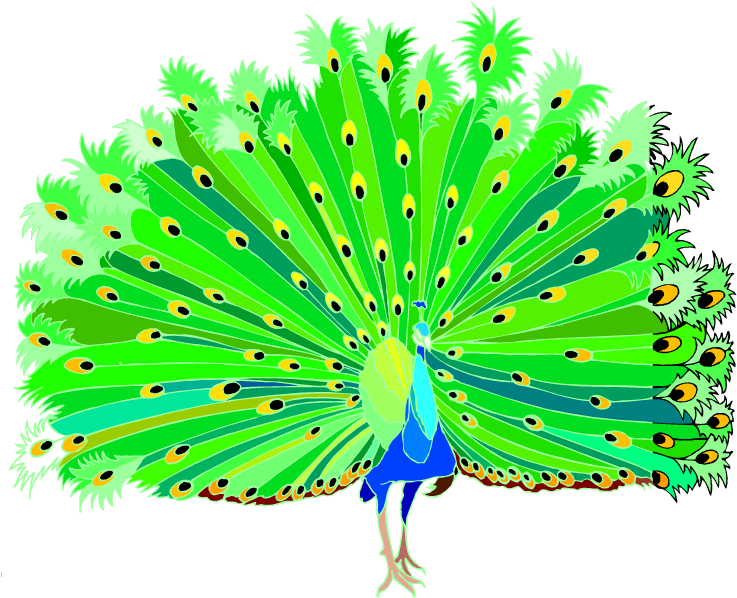 Peacock Clip Art Clipart Clipartix - Dancing Peacock Clipart (750x610)