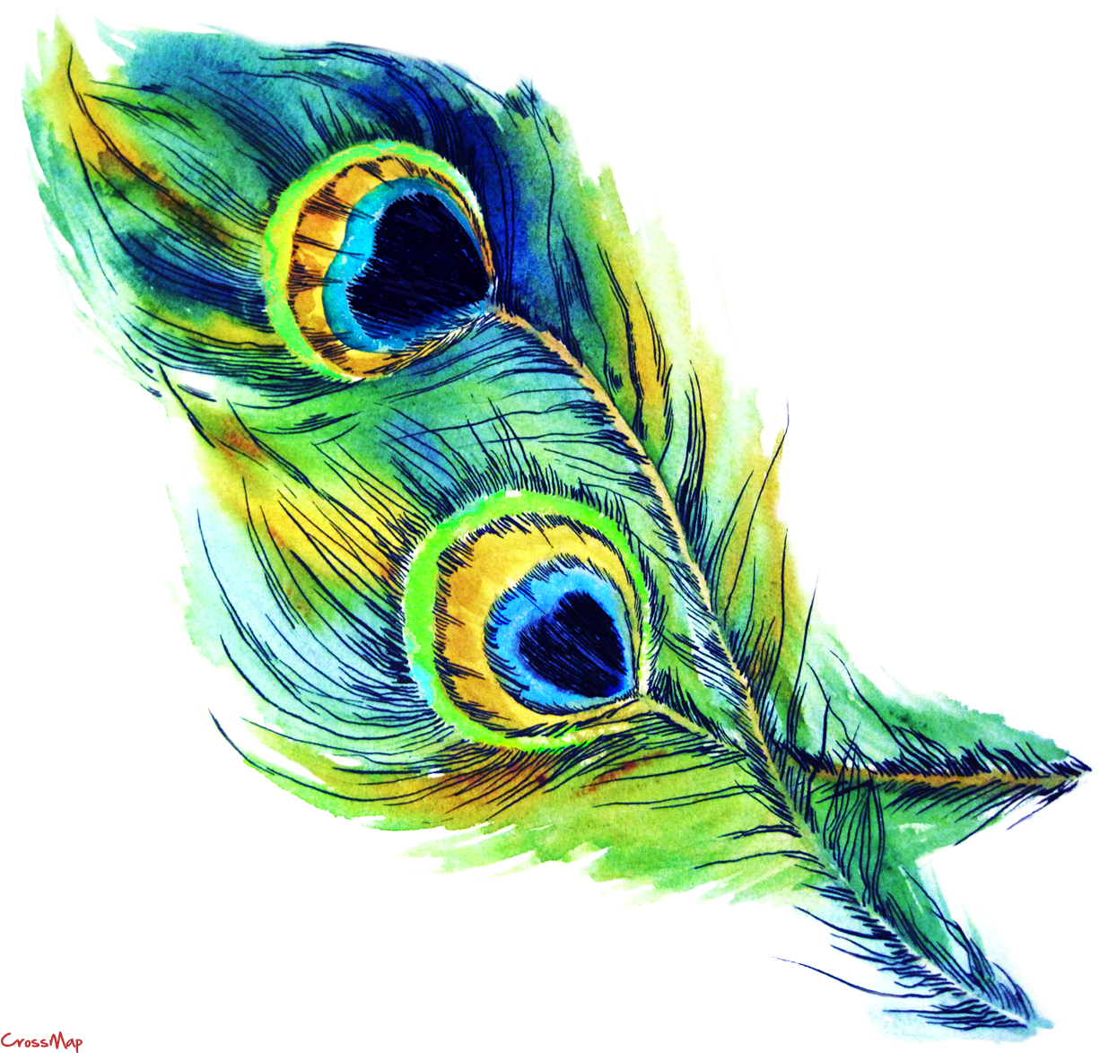 Eye Feather Christian Clip Art - Peacock Feather Clip Art Free Download (1353x1281)