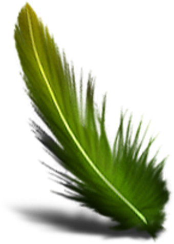 Green Feather Transparent Background (600x600)