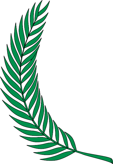 Plant Green, Leaf, Plant - D Lux Hotel Nakuru (441x640)