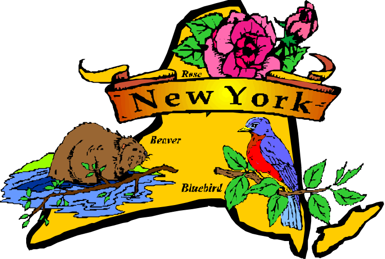Best Places To Live - New York State Flower And Bird (750x504)