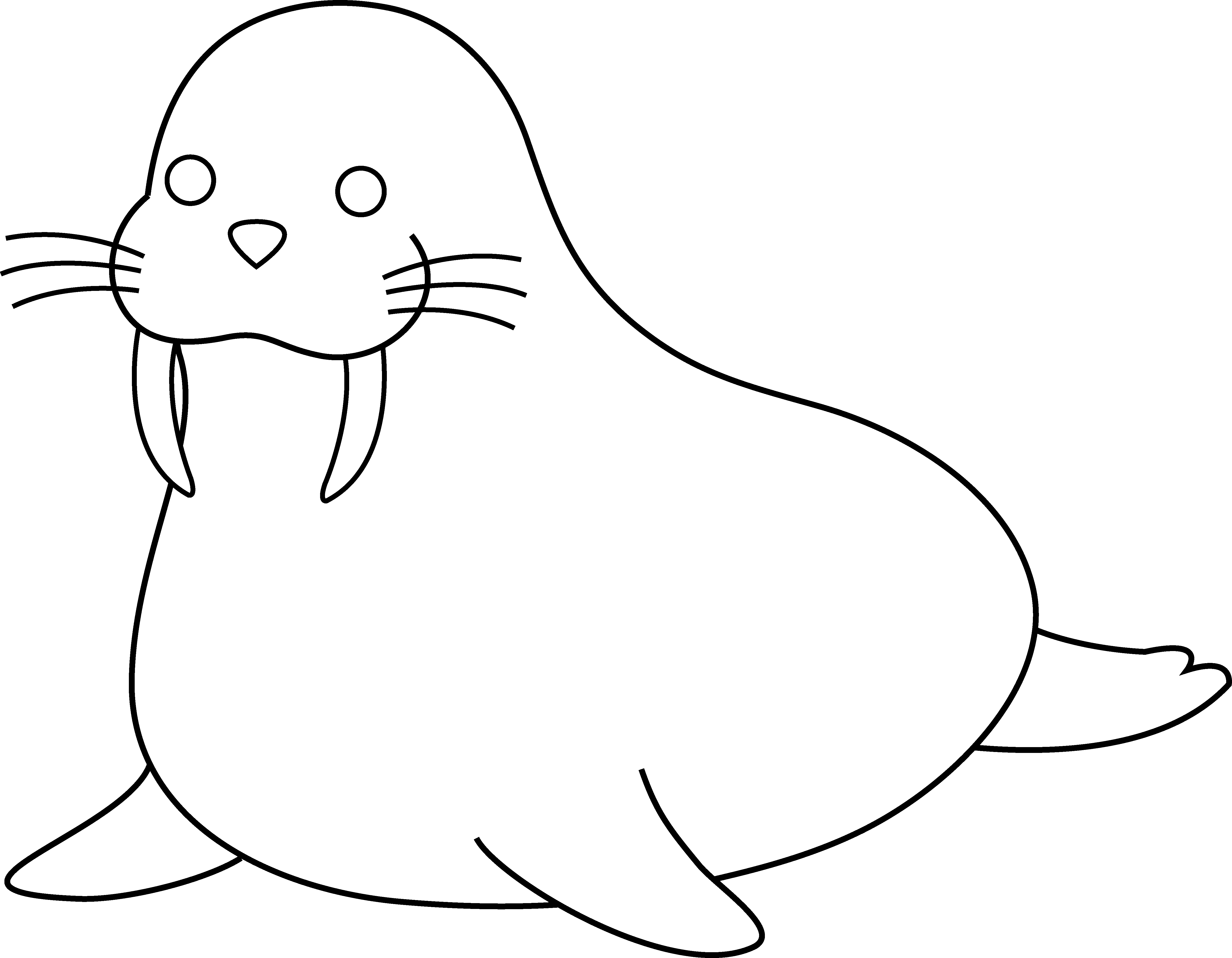 Colorable Walrus Free Clip Art - Cartoon Walrus Outline (5296x4120)