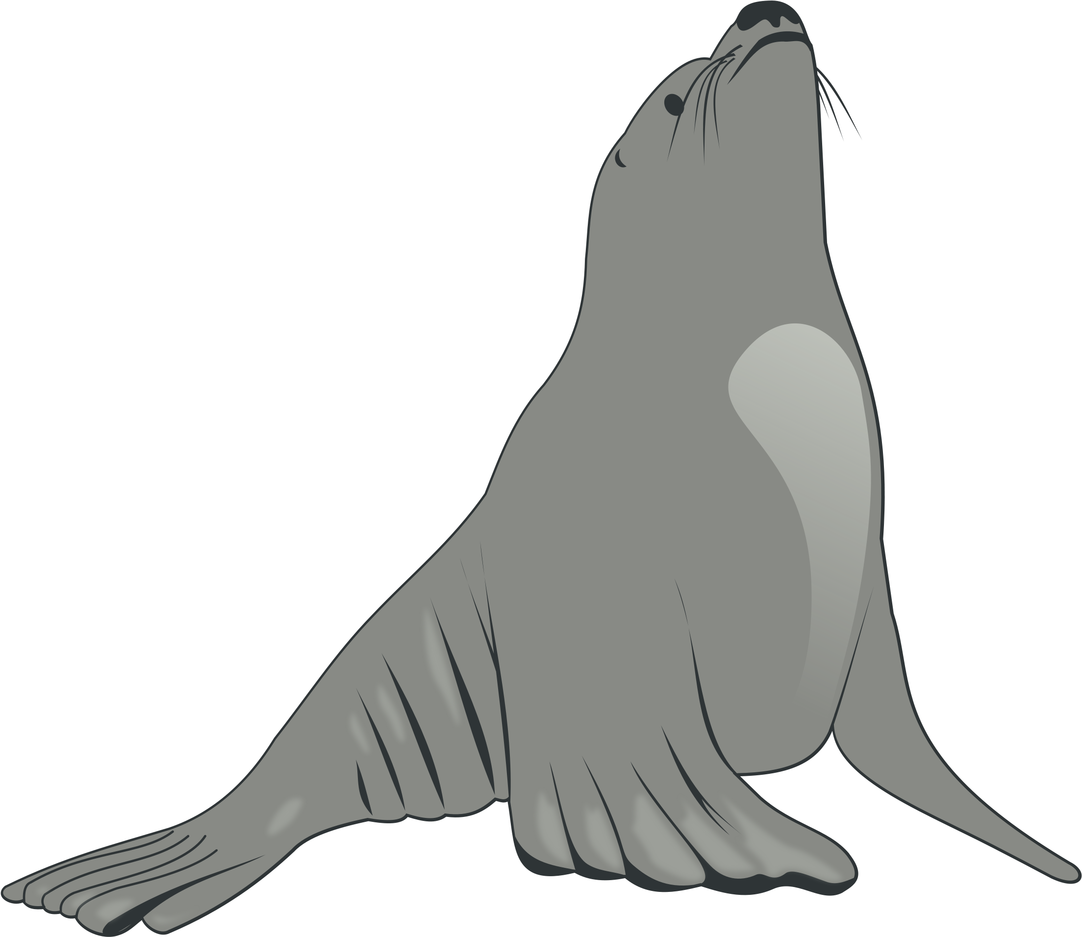 Sea Lion Clip Art - Cartoon Sea Lion (2400x2085)