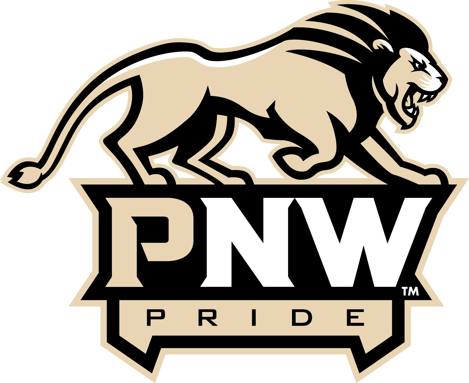 Download Png Format Informal University Mark - Purdue University Calumet Mascot (1527x1245)