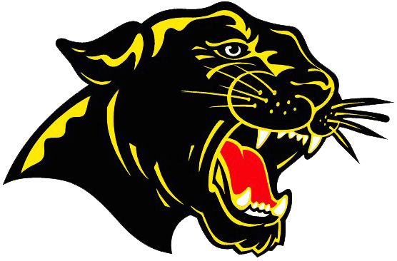 Course Interest Survey - Carroll County High School (556x366)